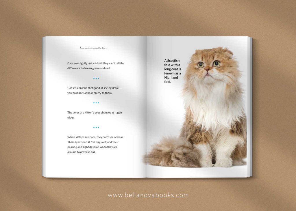 facts about cats