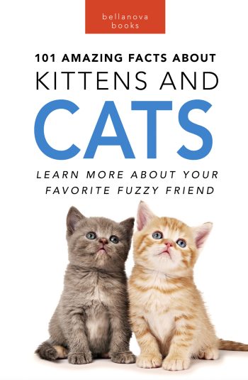 101 facts about kittens and cats