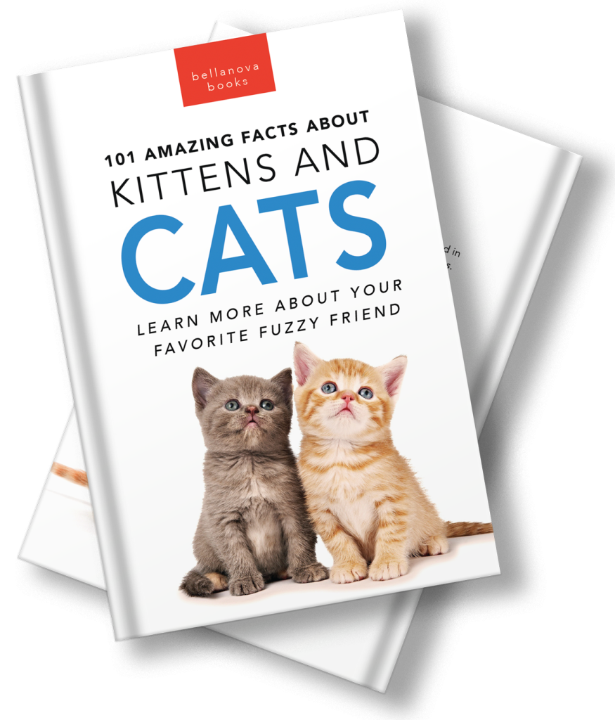 amazing facts about cats