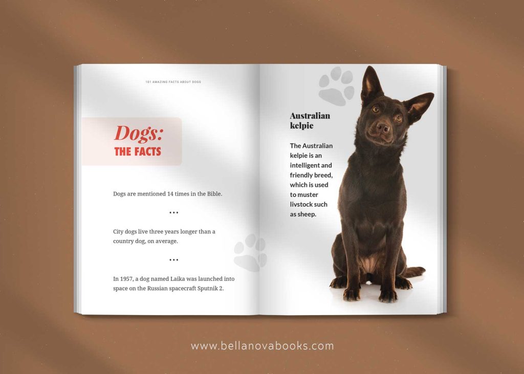 facts about dogs for kids