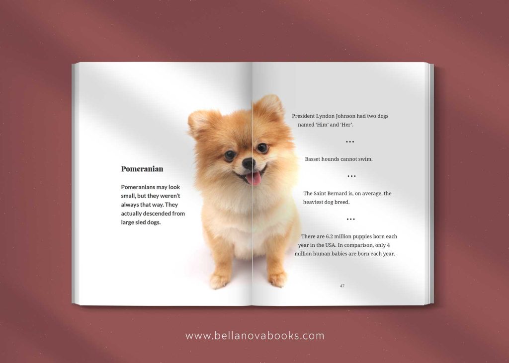 pomeranian dog facts