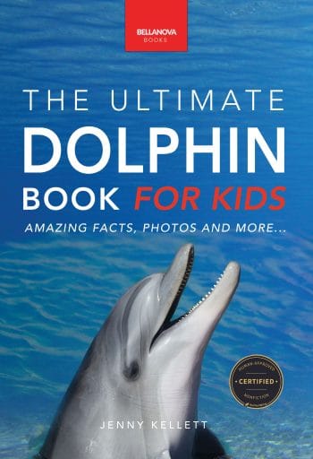 the ultimate dolphin book for kids cover