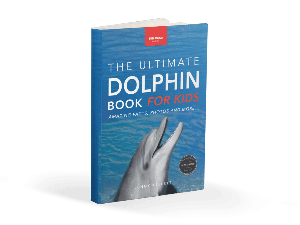 dolphin fact book for kids
