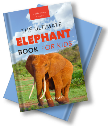 the ultimate elephant book for kids by jenny kellett