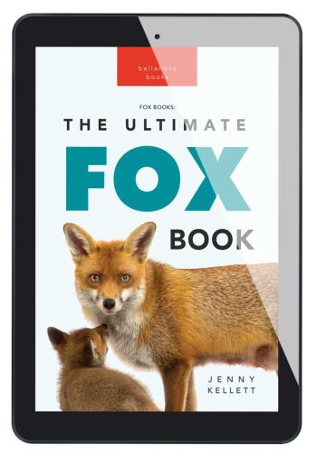Ebook cover of The Ultimate Fox Book for Kids – close-up of red fox face with bold title text