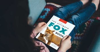 Paperback cover of The Ultimate Fox Book for Kids – close-up of red fox face with bold title text
