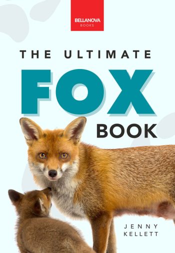 the ultimate fox book for kids
