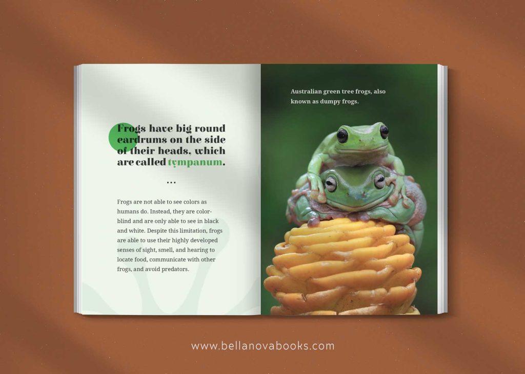 fun facts about frogs for kids