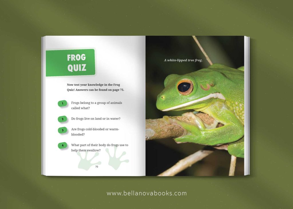 frog quiz for kids