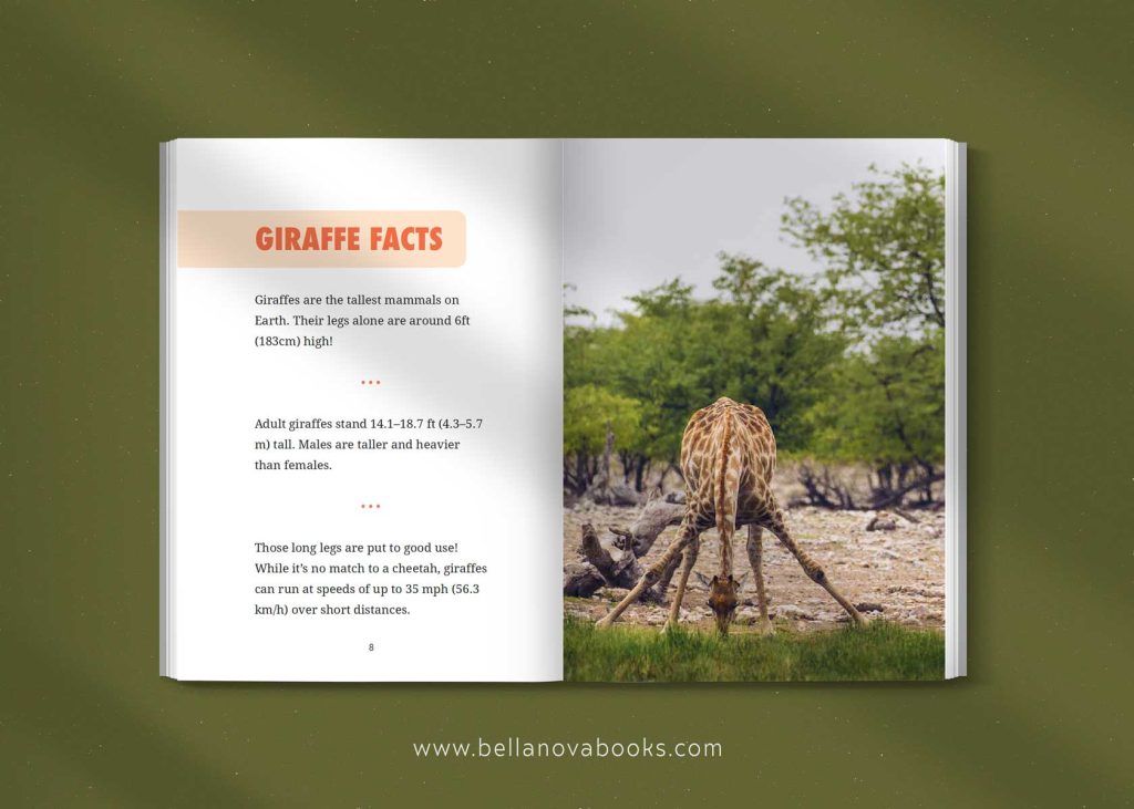 giraffe facts for kids