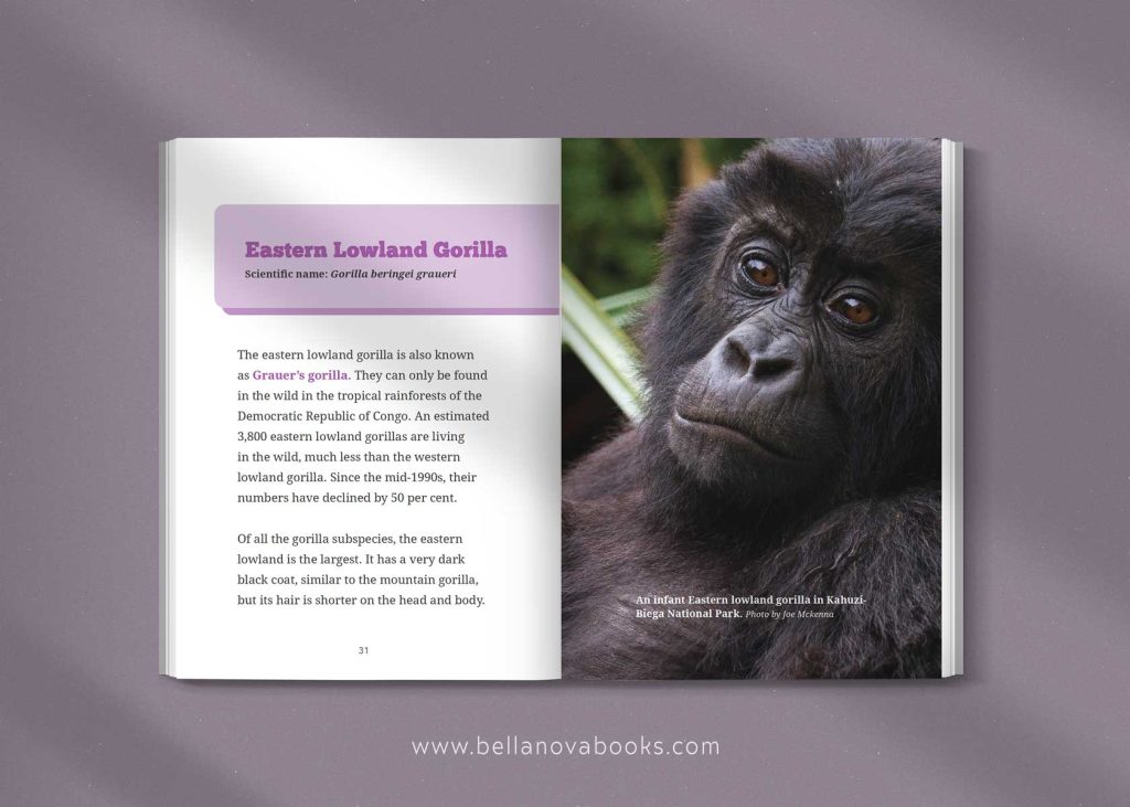 eastern lowland gorilla species profile