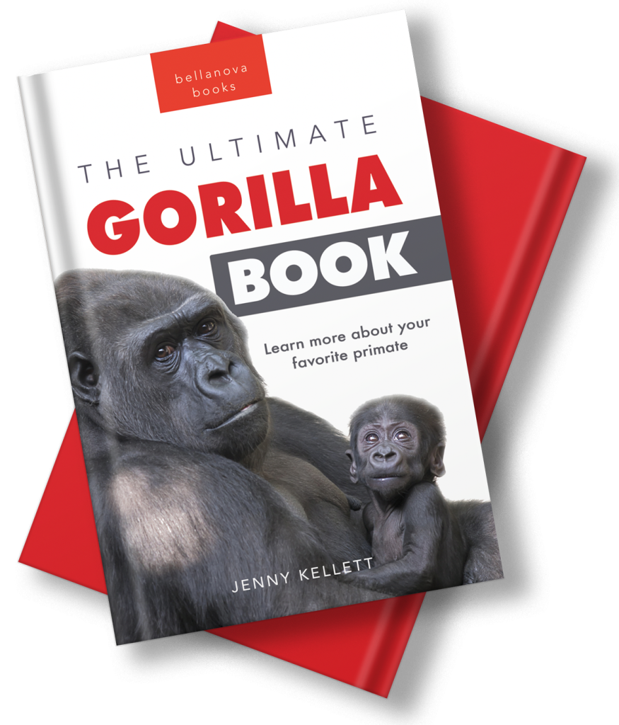 the ultimate gorilla book for kids jenny kellett