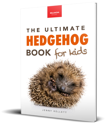 Hedgehog book cover featuring cute hedgehog photo