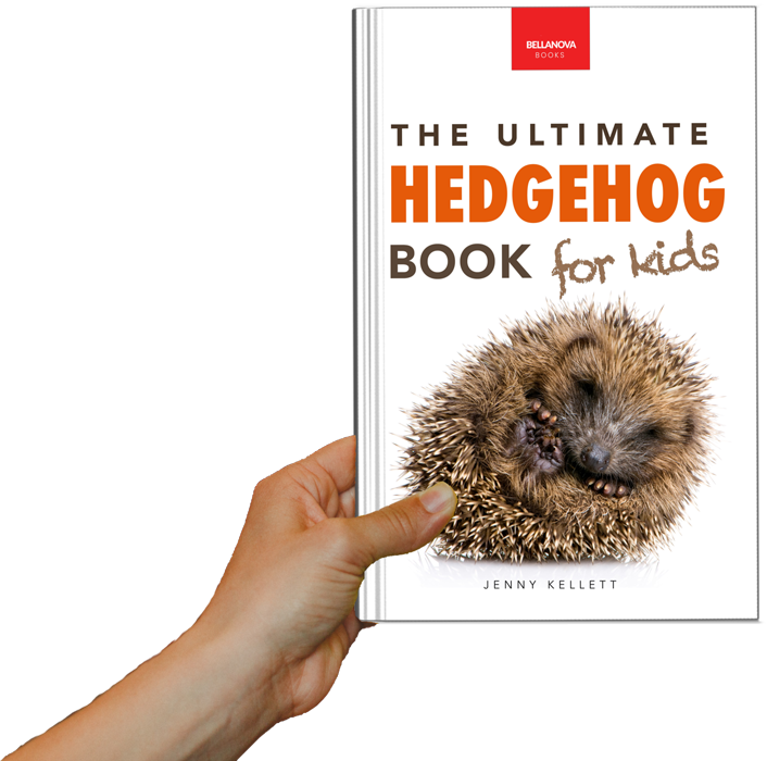 hand holding hedgehog book for kids