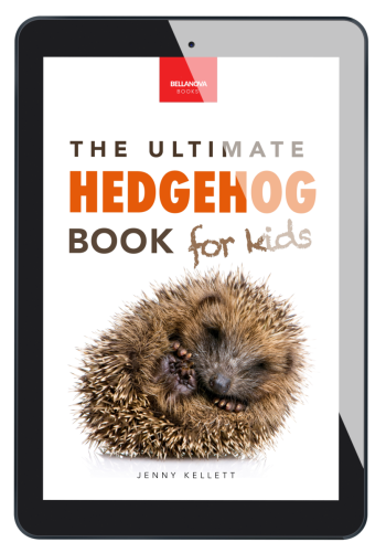 the ultimate hedgehog book for kids kindle version