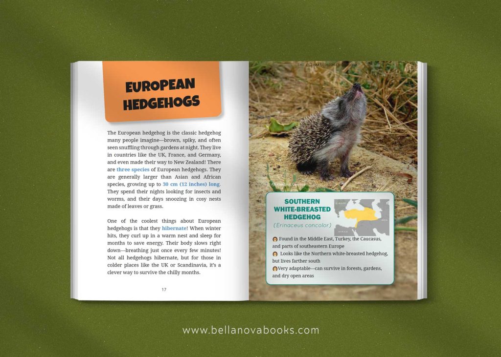 european hedgehogs species guide interior pages