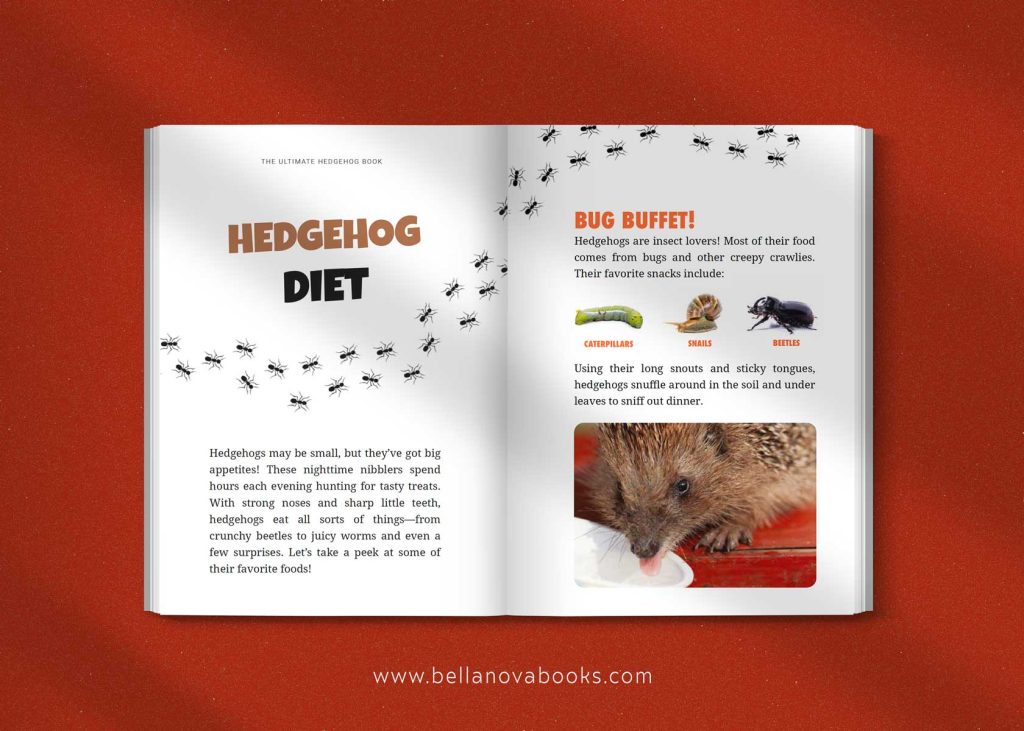 Inside page showing hedgehog diet