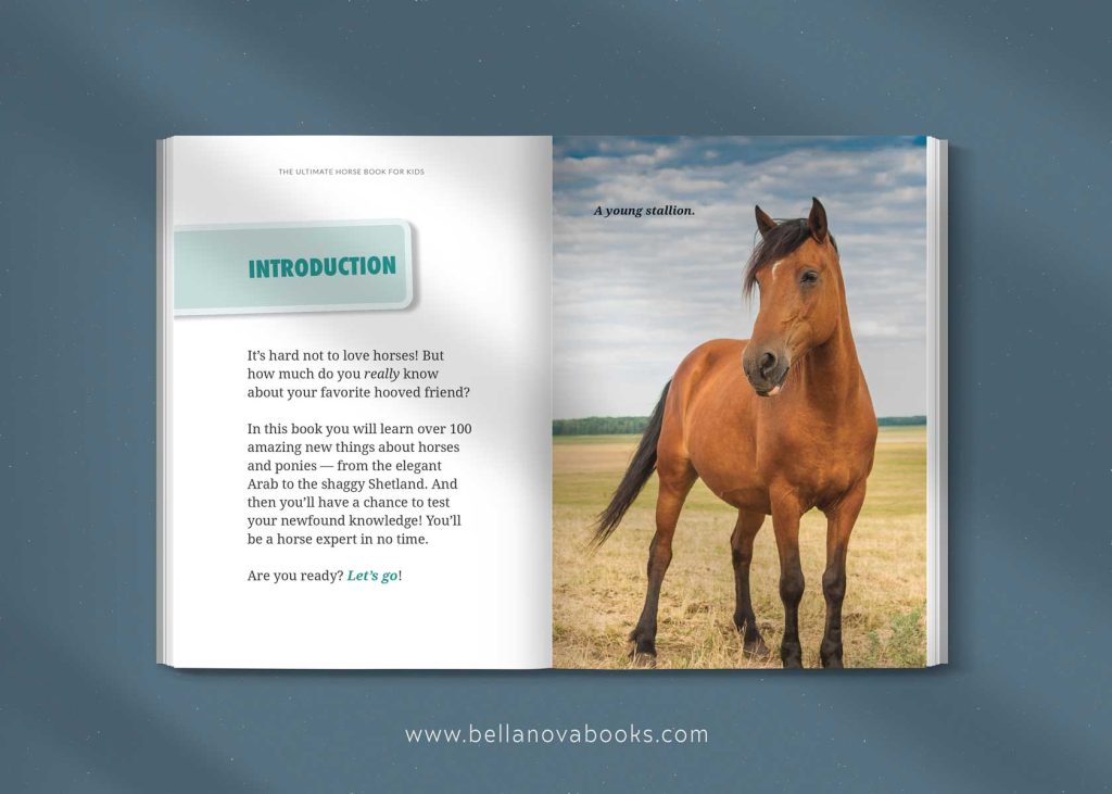 learn facts about horses