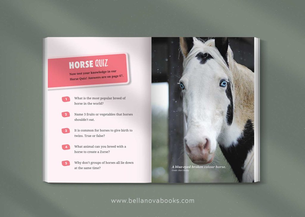 horse quiz for kids