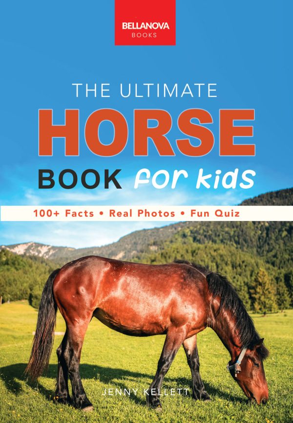 horse book for kids