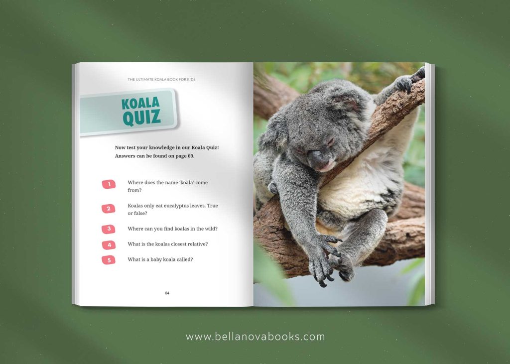 koala quiz for kids
