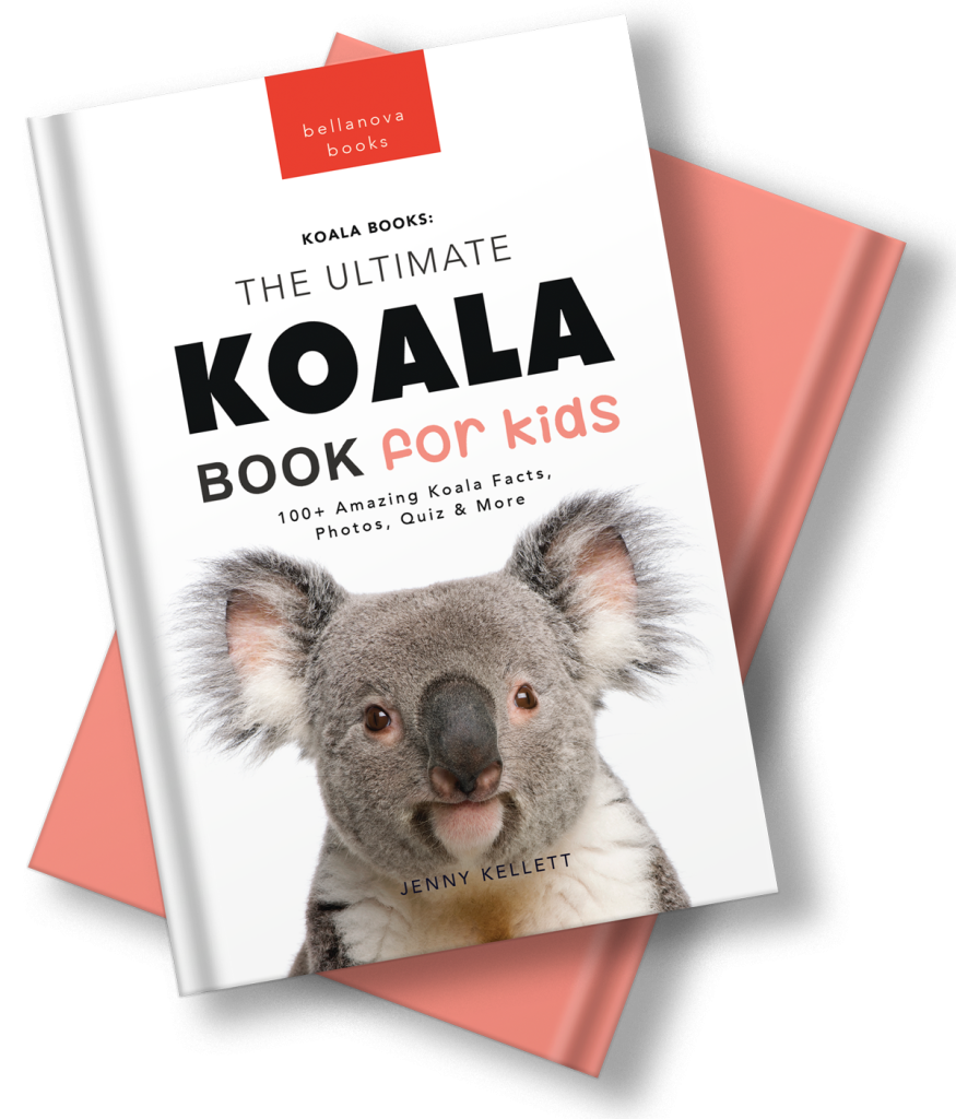 the ultimate koala book for kids by jenny kellett