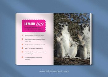 Quiz and word search activity pages for interactive learning about lemurs.