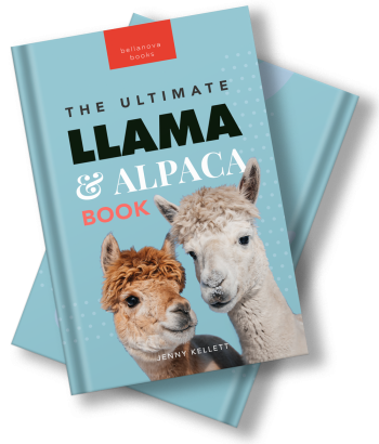 Hardcover edition of The Ultimate Llama & Alpaca Book for Kids with two cute llamas on the cover.