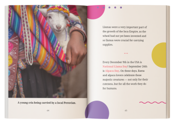 Interior sample page showing fun llama and alpaca facts.