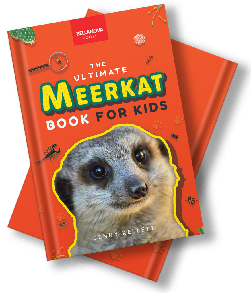 the ultimate meerkat book for kids by jenny kellett