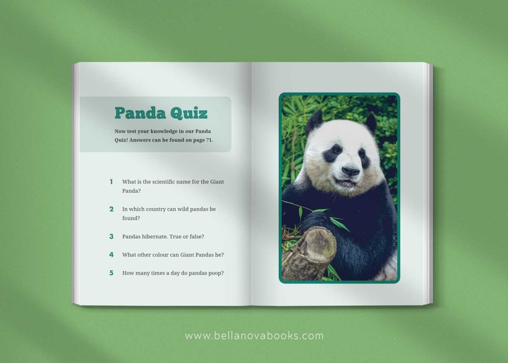 Interior page showing giant panda habitat with panda quiz questions