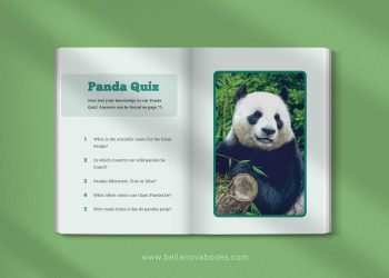 Interior page showing giant panda habitat with panda quiz questions