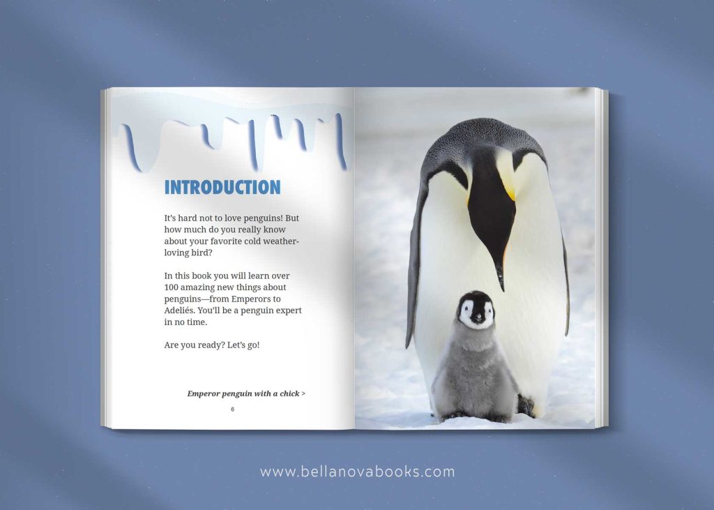 interior of the ultimate penguin book for kids