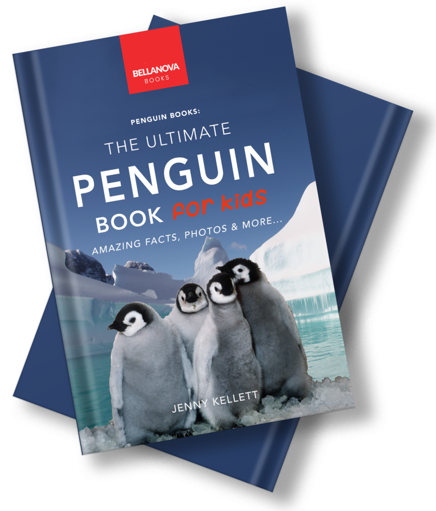 the ultimate penguin book for kids by jenny kellett