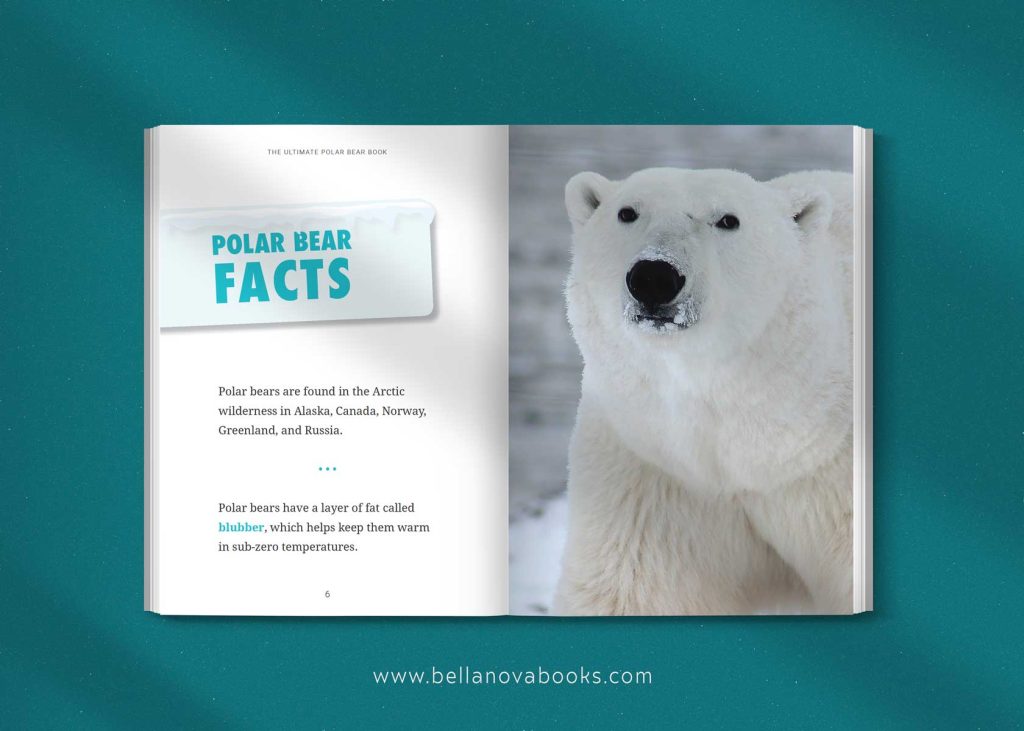 facts about polar bears for kids