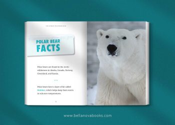 facts about polar bears for kids