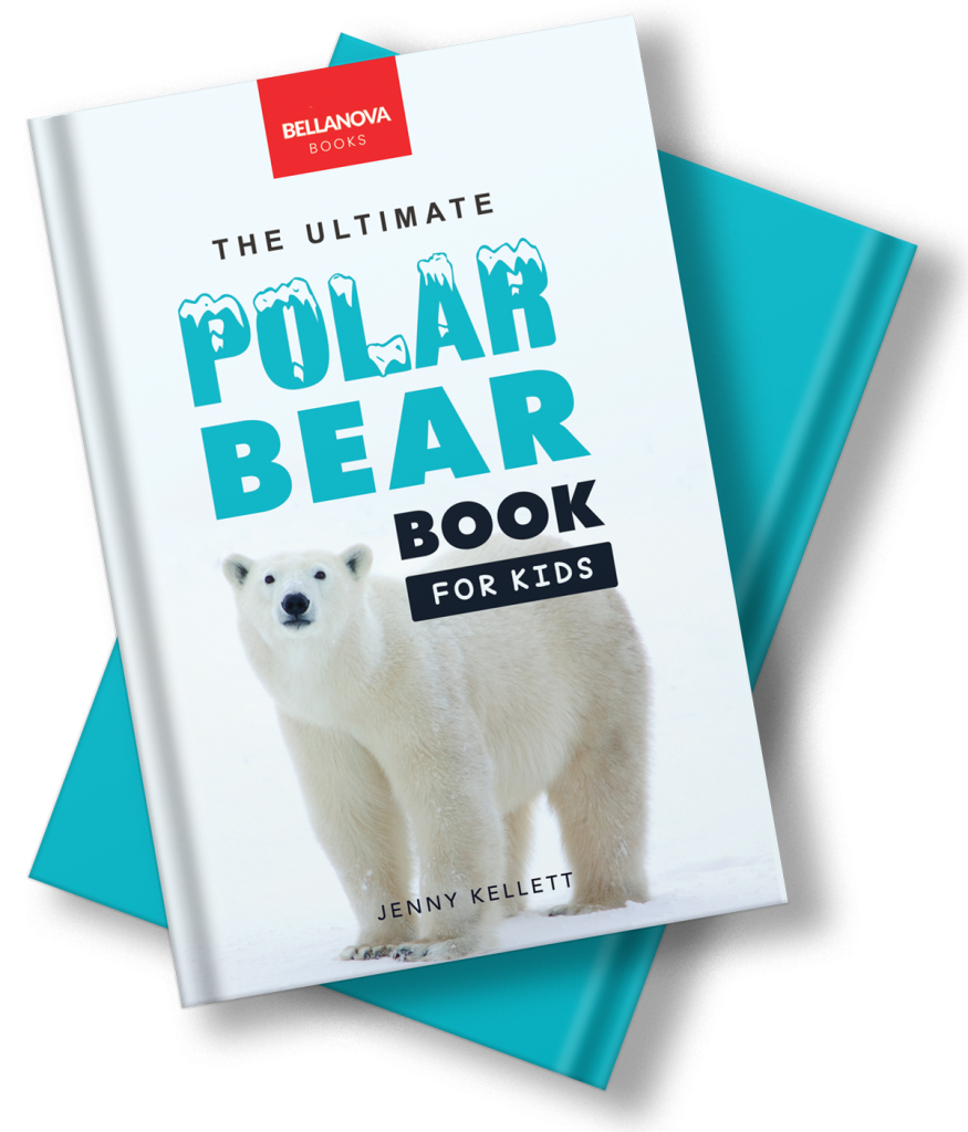 the ultimate polar bear book for kids by jenny kellett