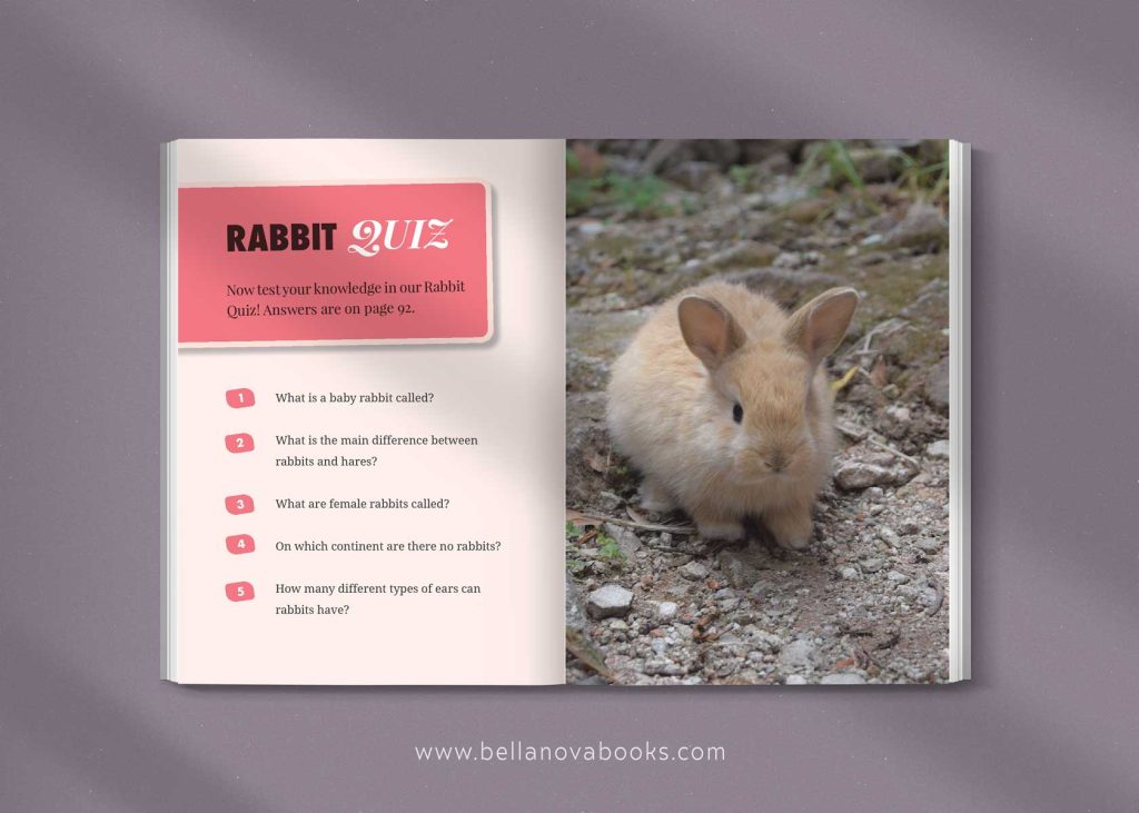 rabbit quiz inside the ultimate bunny book