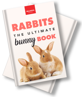 Rabbits: The Ultimate Bunny Book - Image 4