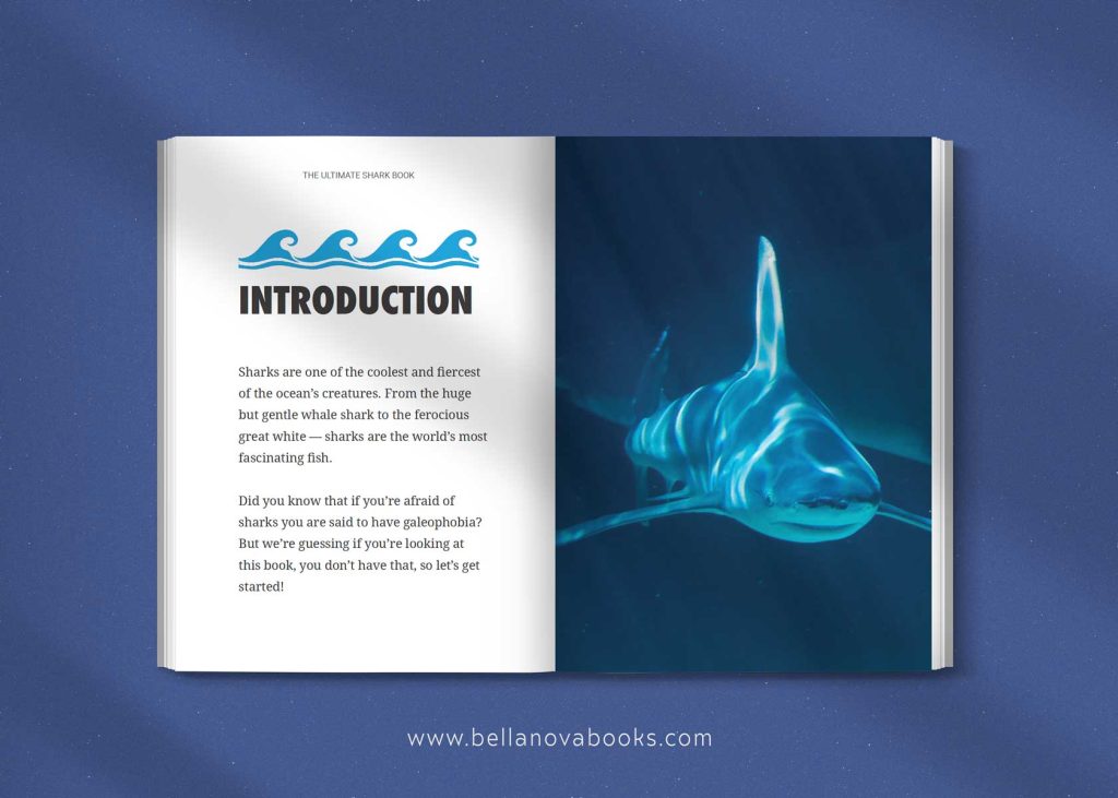 interior view the ultimate shark book for kids