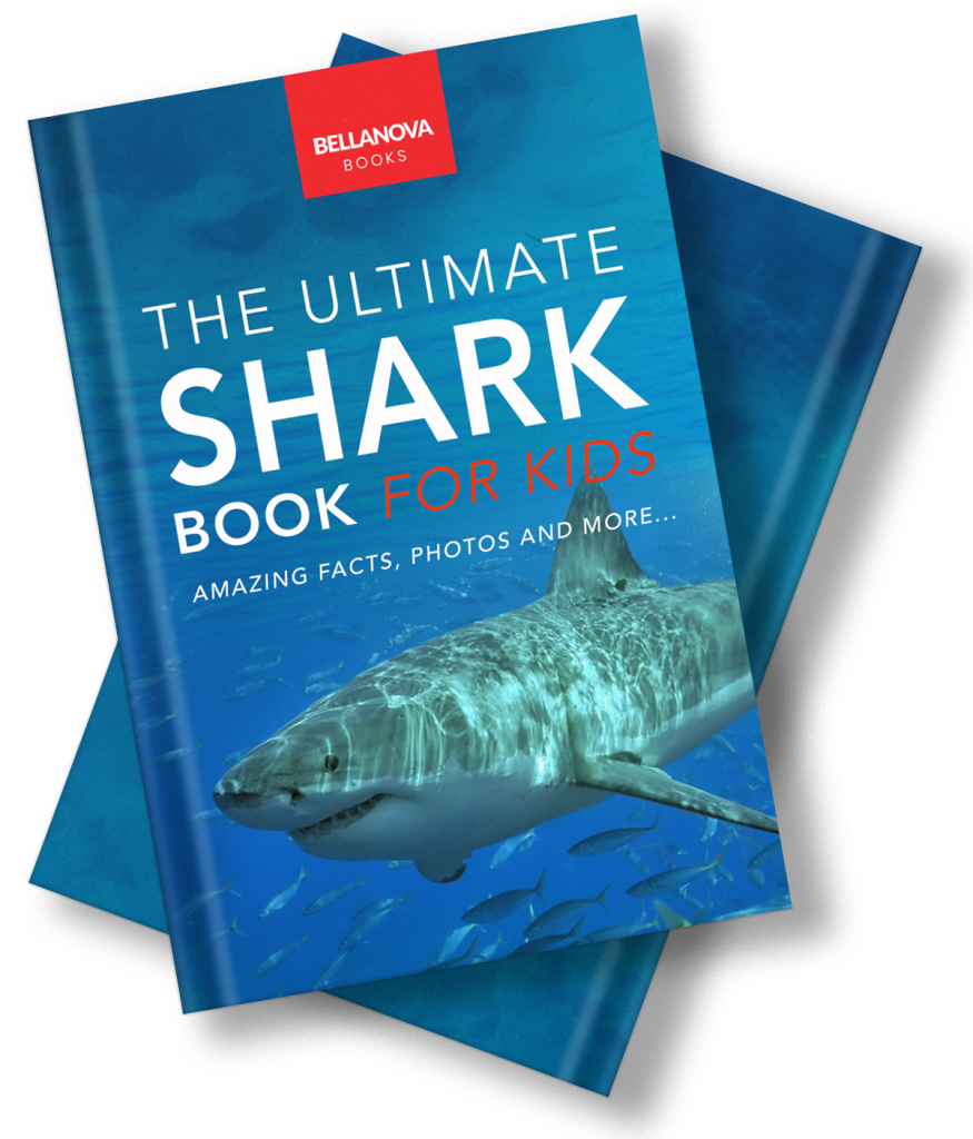 the ultimate shark book for kids by jenny kellett