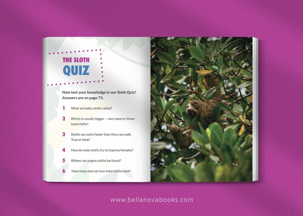 Interior spread featuring sloth quiz and puzzle