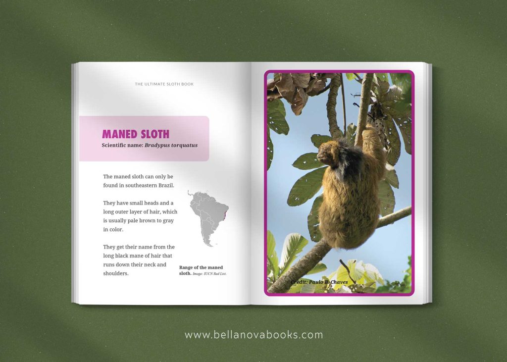 Inside page showing sloth facts and photos including sloth species guide