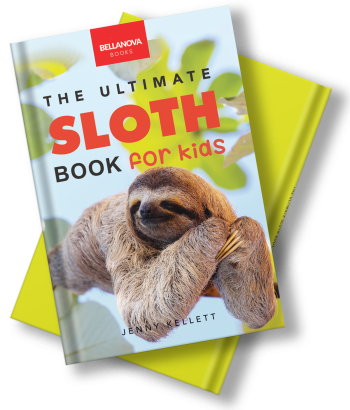 Front cover of The Ultimate Sloth Book for Kids