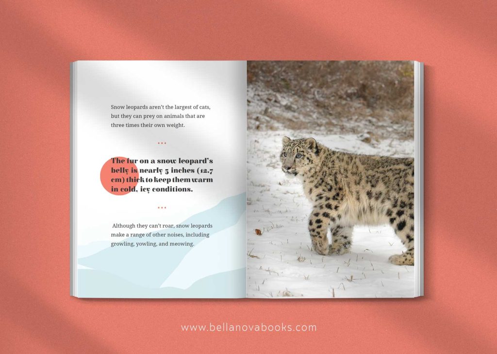 fun snow leopard facts for kids