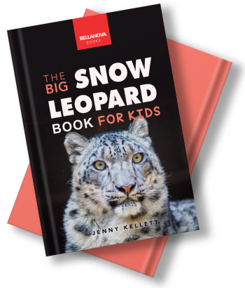 the big snow leopard book for kids by jenny kellett