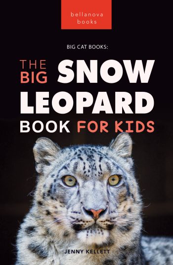 the big snow leopard book for kids ebook cover
