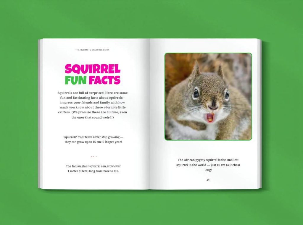 squirrel fun facts