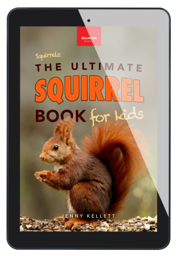 squirrel book for kids jenny kellett ebook version