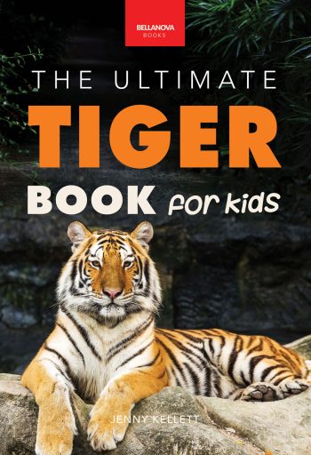 tiger book for kids